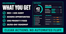 audit shopify SEO, aeo, schema and cro strategy