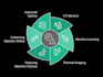deliver a predictive maintenance system for industrial assets