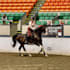 create authentic equestrian social media content