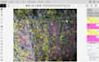 do video segmentation and keypoint annotation