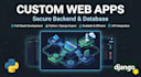 build custom web application as a software developer