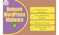 remove wordpress malware, virus, and hack and secure your website