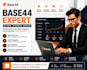 base 44 expert base 44 bug fixing base 44 integration base 44 migration