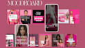 setup canva brand kit, social media templates, brand guidelines