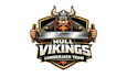 design high quality viking mascot logo with free source file