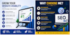 do professional SEO for your website