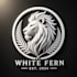 do 3d documentary storytelling fern style video