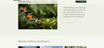 design a modern responsive business website
