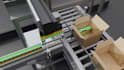 create realistic 3d industrial animation, factory production line animation