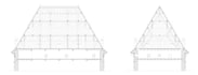 draw professional architectural sections and elevations