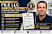 file llc annual reports and complete state compliance filing requirements