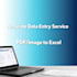 accurate data entry PDF image to excel cell check