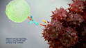 do 3d medical, pharmaceutical  biotech animation video