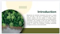 create professional powerpoint presentations and PPT designs