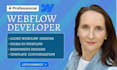 design framer website, develop webflow, webflow website develop framer animation