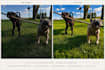 professionally edit your photos naturally