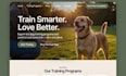 build a wix website for pet shops website wix veterinary clinics website