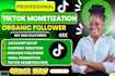 help you complete tiktok creator rewards program monetization