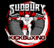 create professional boxing and jiu jitsu logo