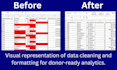 create ngo m and e dashboard in excel for donors