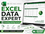 expert in data entry and web research