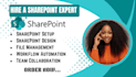 design and develop a custom sharepoint intranet with modern features