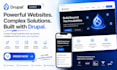 build drupal website, business website, custom drupal ecommerce development