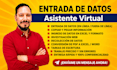 do data entry and web research