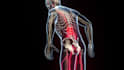 create premium 3d medical animation videos