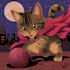 draw your pet in 90s retro anime style