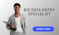 complete any big data entry task in 24 hours