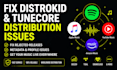 fix music distribution issues on distrokid, tunecore or cd baby professionally