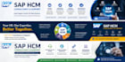 be your sap hcm consultant