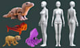 design 3d articulated model, flexi toy and bjd doll, figure stl for 3d printing