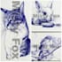 draw beautiful freehand animal illustrations