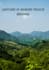 desing canva thumbnails and edit basic videos