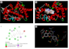 perform molecular docking with detailed analysis