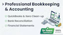 provide professional bookkeeping and accounting services