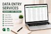 do web research, copy paste, and data entry professionally