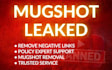 remove mugshots, false news, and negative google results