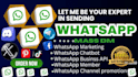 do whatsapp mass dm whatsapp marketing whatsapp automation whatsapp business