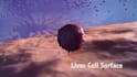 do 3d cellular pathways receptor binding kinetics molecular car t cell explainer