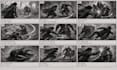 create game cinematic storyboard and cutscene storyboard