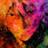 draw anime and manga illustrations