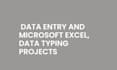 make data entry and microsoft excel, data typing projects