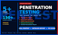 do professional penetration testing and security assessment