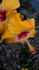 deliver stunning mobile images