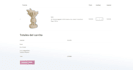 create a professional woocommerce store with wordpress
