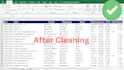 clean, format, and organize excel data professionally