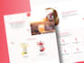 redesign and design wordpress website